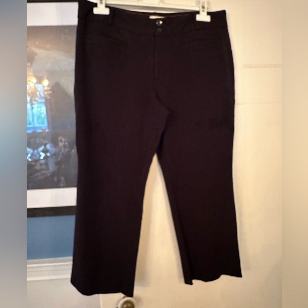 The Essential Crop Flare by Anthropologie  Black Pants